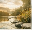 Instagram Impression 4